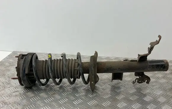 Land Rover Evoque I Rear shock absorber with coil spring BJ3218K004AE 226162231