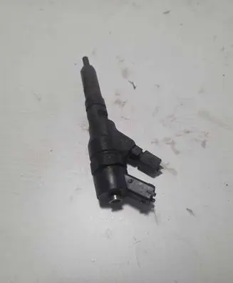 Citroen Xsara Picasso Fuel injector 0445110008