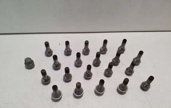 Polestar 2 Nuts/bolts 