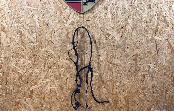Porsche Macan (95B) Front door wiring loom/harness boot 95b61290103