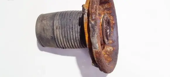 Coil spring mount
