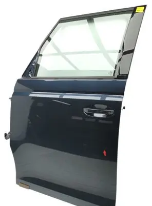 Volkswagen ID. Buzz Front door 1T3831055D LT5U