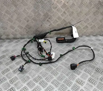 Porsche Taycan 9J1 Front door wiring loom 9JA971035AE
