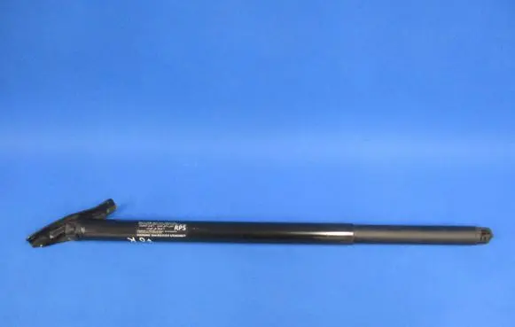 Tailgate/trunk strut/damper