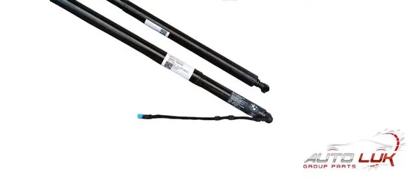 BMW X4 G02 Tailgate strut 94827909482789