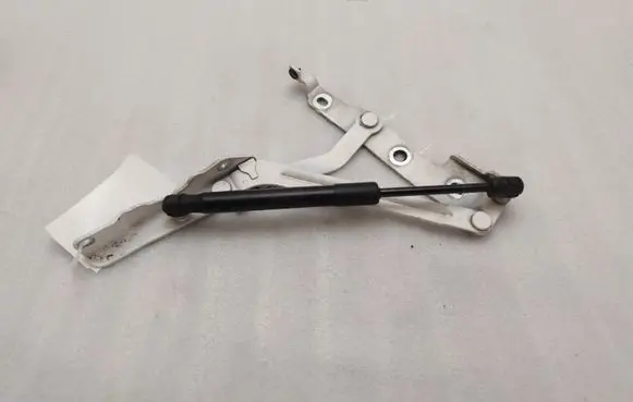Ford Mustang V Tailgate/trunk/boot hinge AR3363406A10AA