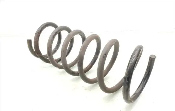 Rear coil spring