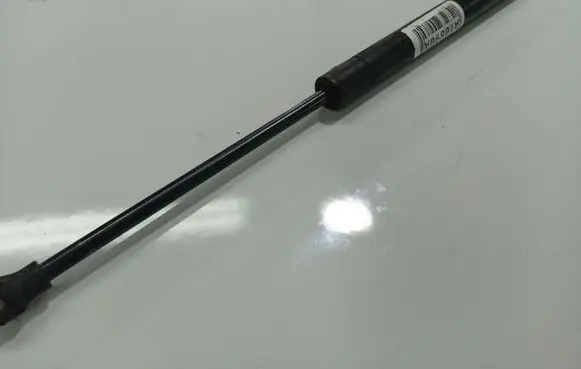 Tailgate/trunk strut/damper