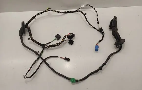 Volkswagen PASSAT B8 Front door wiring loom 3G1971120H