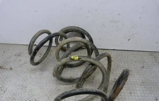 Front coil spring
