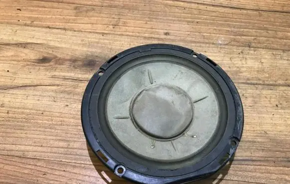 Front door speaker