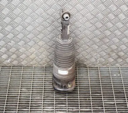 BMW 6 G32 Gran Turismo Shock absorber/damper/air suspension 13981113 G32H115BL