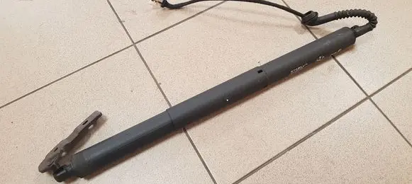 Tailgate/trunk strut/damper