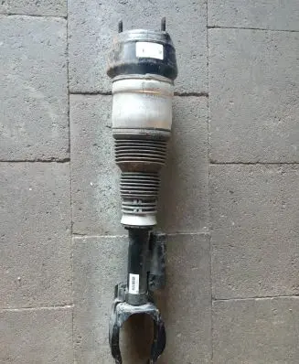 Mercedes-Benz GLS X166 Air suspension front shock absorber A1663200100