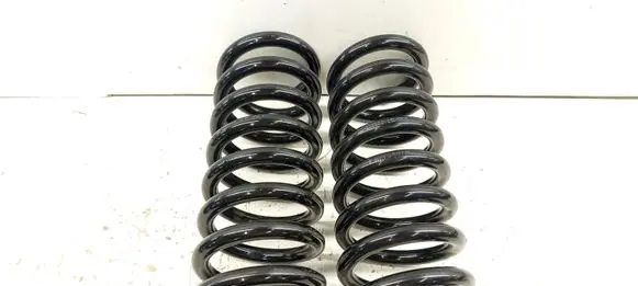 Mercedes-Benz S W140 Rear coil spring 1403241604 A1403241604 36233908
