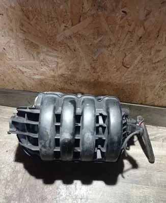 Volkswagen Golf Plus Intake manifold 2900310509