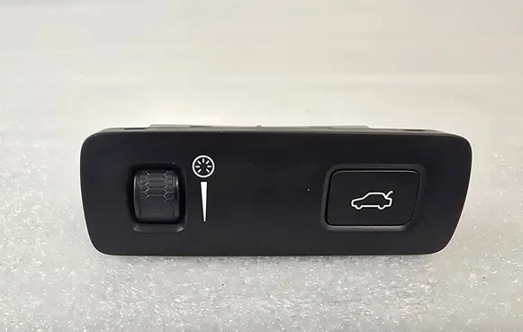Volvo XC90 Tailgate opening switch 31376510