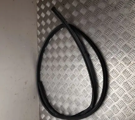 Nissan Juke II F16 Rubber seal rear door 664