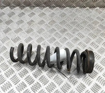 BMW 3 GT F34 Rear coil spring 6851728