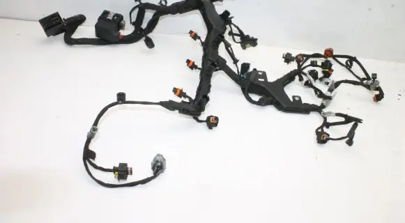 Chrysler 300C Engine installation wiring loom 48852021F