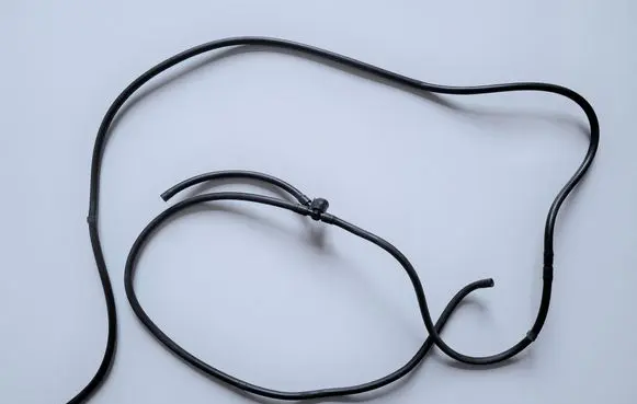 Nissan Leaf I (ZE0) Windshield washer fluid hose B746189910