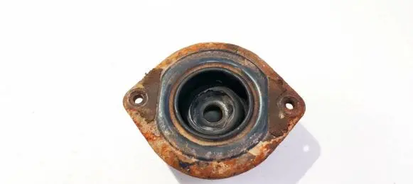 Coil spring mount