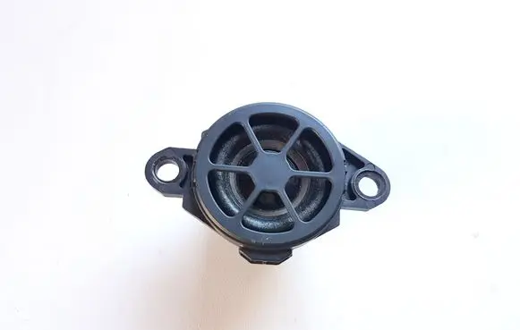 Panel speaker