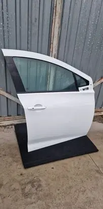 Renault Zoe Front door