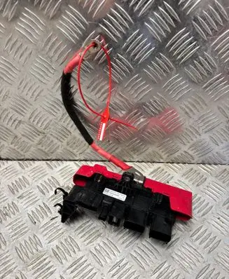 Renault Trafic III (X82) Other wiring loom DORENAULTTRAFICIV4