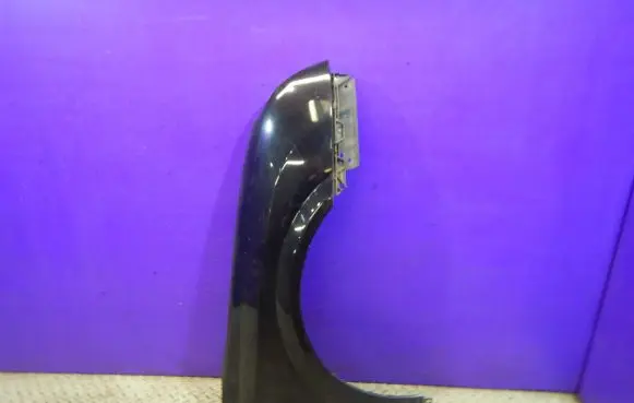 Opel Signum Fender