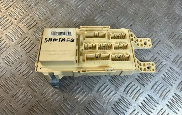 Hyundai Santa Fe Fuse module 919502B210