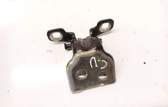 Dacia Sandero Rear door lower hinge 