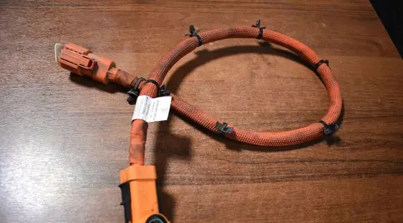 Porsche Taycan 9J1 Other wiring loom 9J1971008A555525