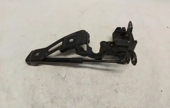 BMW 4 G22 G23 G24 G26 Tailgate hinge 7497545-JLK01