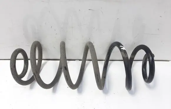 Rear coil spring