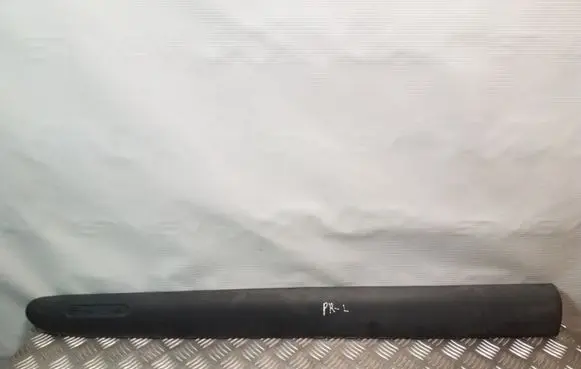 Front door trim (molding)