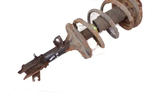 Hyundai Santa Fe Front shock absorber/damper