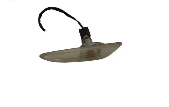 Front fender indicator light