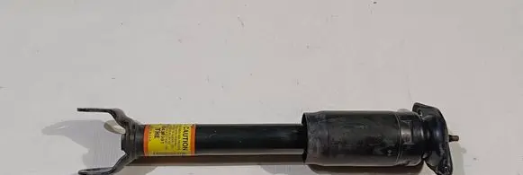 Chevrolet Corvette C5 Rear shock absorber/damper 10431991