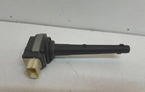 Renault Scenic III - Grand scenic III High voltage ignition coil 0221504030 1220703039 P699627