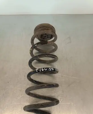 Volkswagen Tiguan Rear coil spring