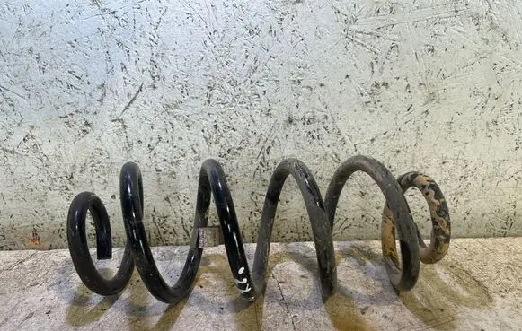 Rear coil spring