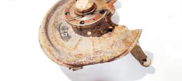 Skoda Octavia Mk2 (1Z) Rear wheel hub didzioji