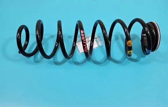 Rear coil spring