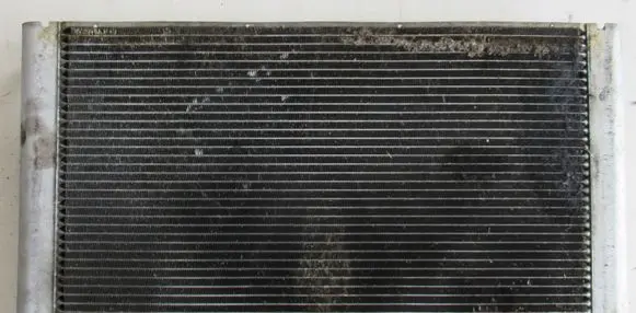 BMW 7 E65 E66 Coolant radiator 17112248478