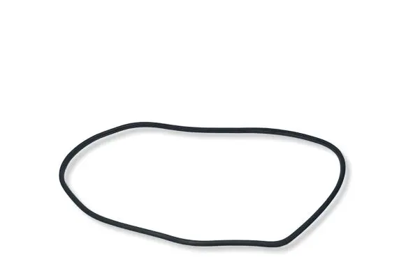Honda CR-V Rear door rubber seal (on body) 