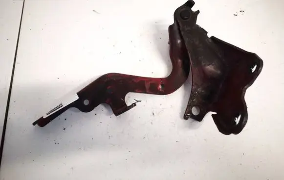 Lexus IS 220D-250-350 Engine bonnet/hood hinges