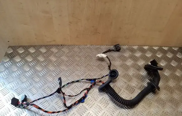 Rear door wiring loom