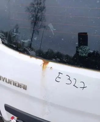 Hyundai H-1, Starex, Satellite Rear door