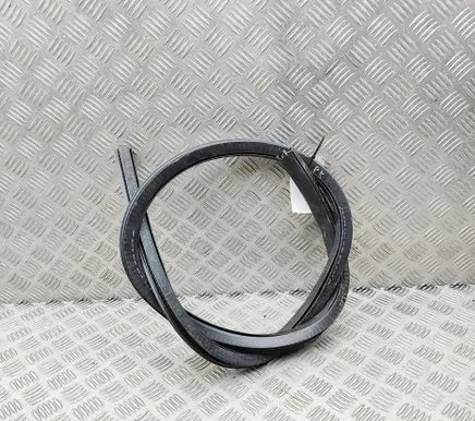 Audi RS5 Rubber seal front coupe door 8T0831707D